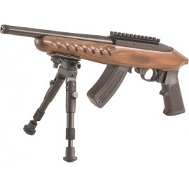 Ruger Charger CHR22-10TB