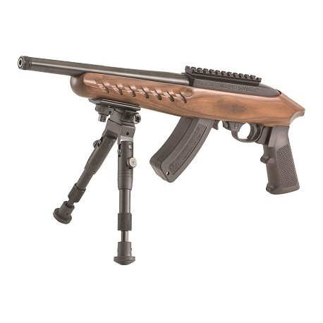 Ruger Charger CHR22-10TB